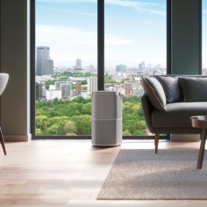 Очищувач повітря Electrolux Pure A9 PA91-404GY з Wi-Fi і багаторівневим очищенням повітря