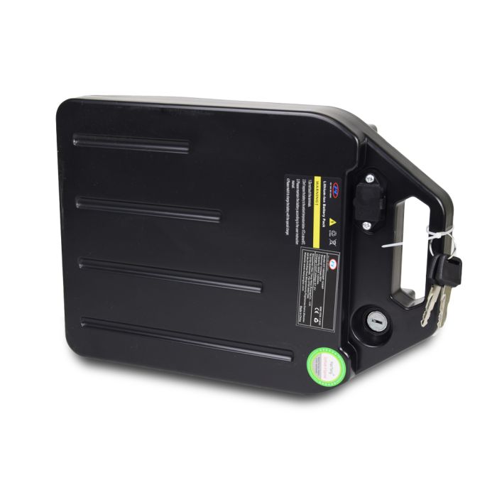 Акумулятор знімний 60V 20Ah для Citycoco (Сітікоко)