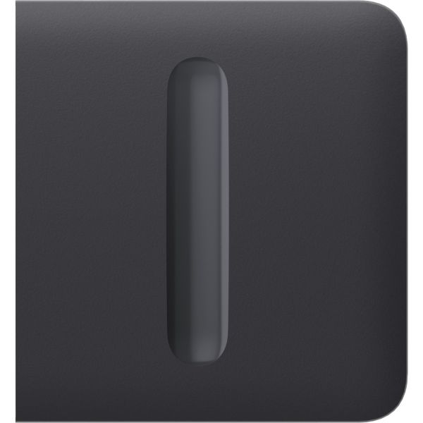 Бічна кнопка для димерного вимикача Ajax SideButton (Dimmer) Graphite