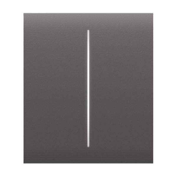 Кнопка Ajax CenterButton (2-gang) grey для двоклавішного вимикача