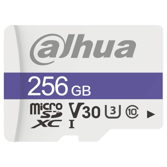 Dahua DHI-TF-C100/256GB Карта пам'яті microSD