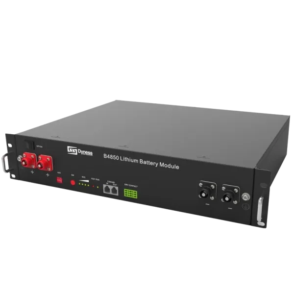 Dyness B4850 Акумуляторний блок (2,4 кВт•год/48 В)