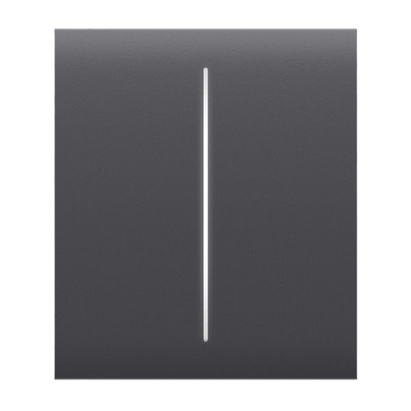 Кнопка Ajax CenterButton (2-gang) graphite для двоклавішного вимикача