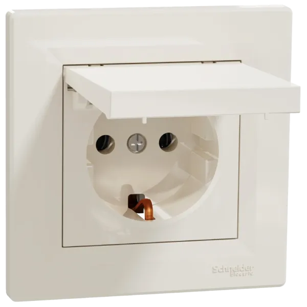 Schneider Electric Asfora EPH3100123 Розетка із кришкою, із заземленням
