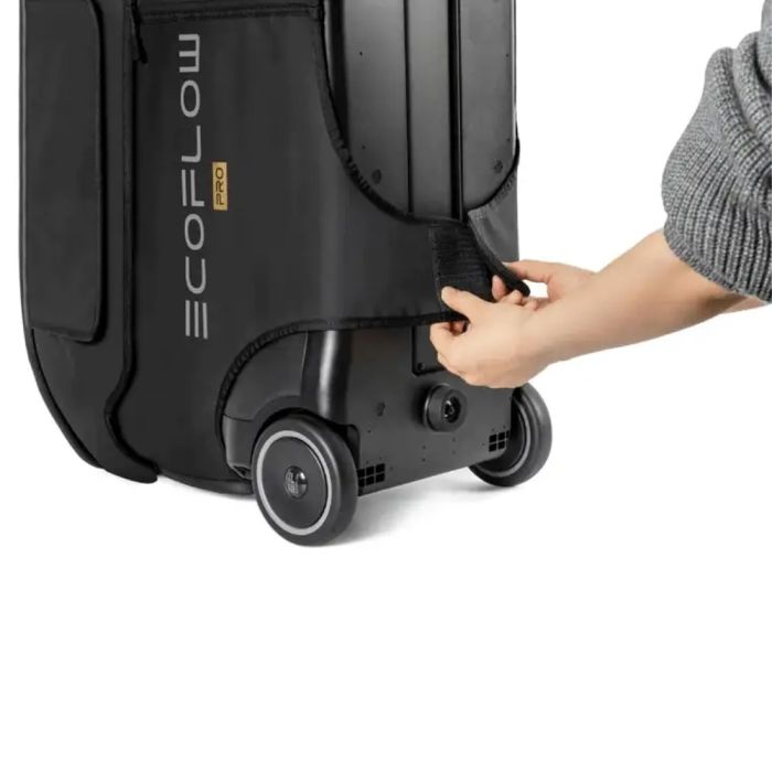 Сумка EcoFlow DELTA Pro Bag