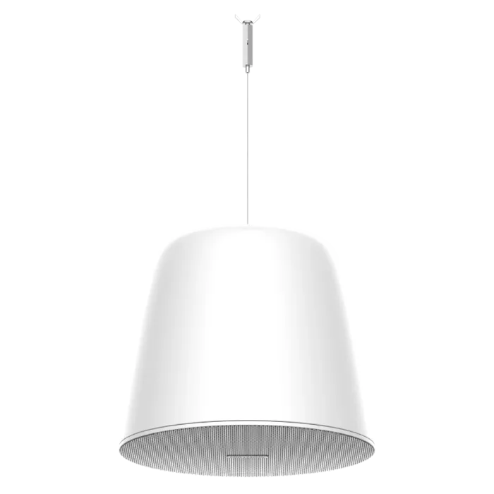 Hikvision DS-QAZ0530G1 30 Вт Аналоговий динамік