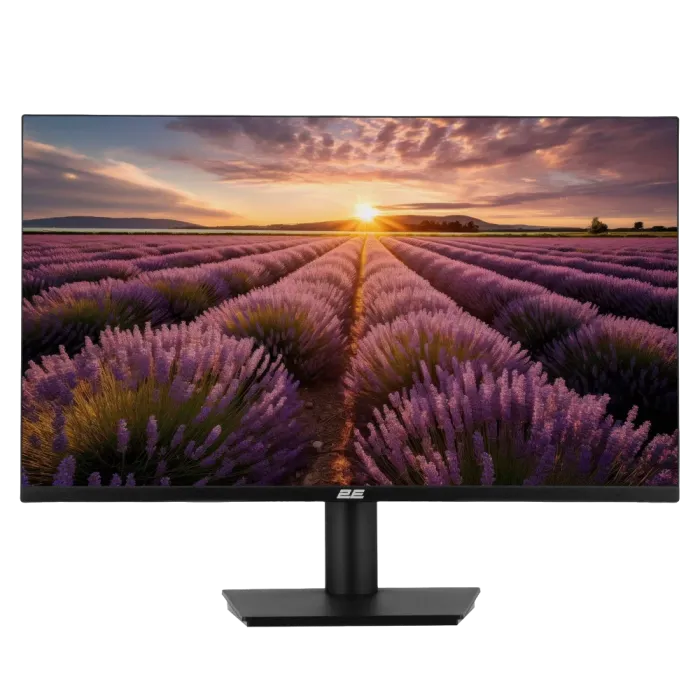 2E B2424B 23.8" 1920x1080 (Full HD) Монітор