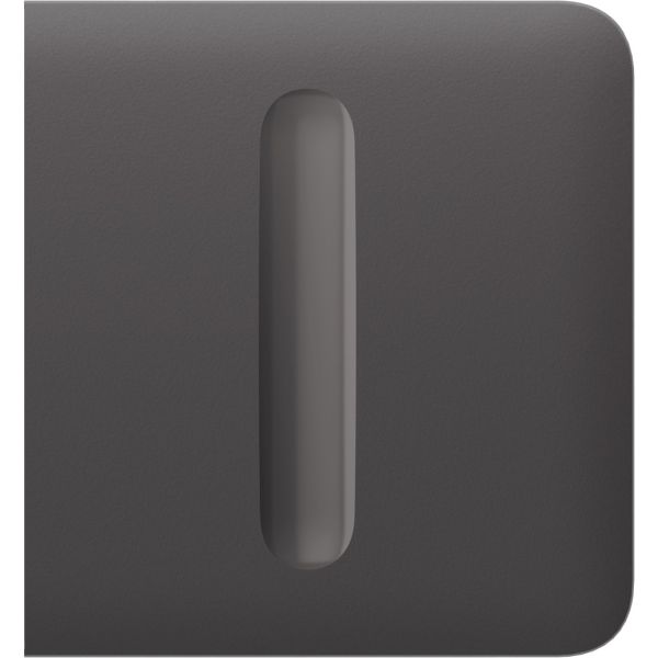 Бічна кнопка для димерного вимикача Ajax SideButton (Dimmer) Grey