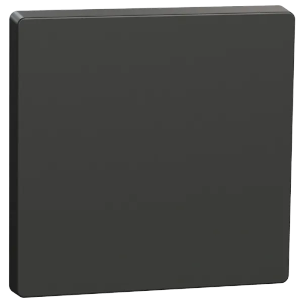 Schneider Electric Merten System Design MTN3300-6034 Клавіша