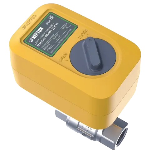 Neptun PROFI 12B 1/2 (2205802) Кран з електроприводом